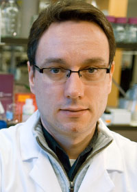 Alexander Stegh
